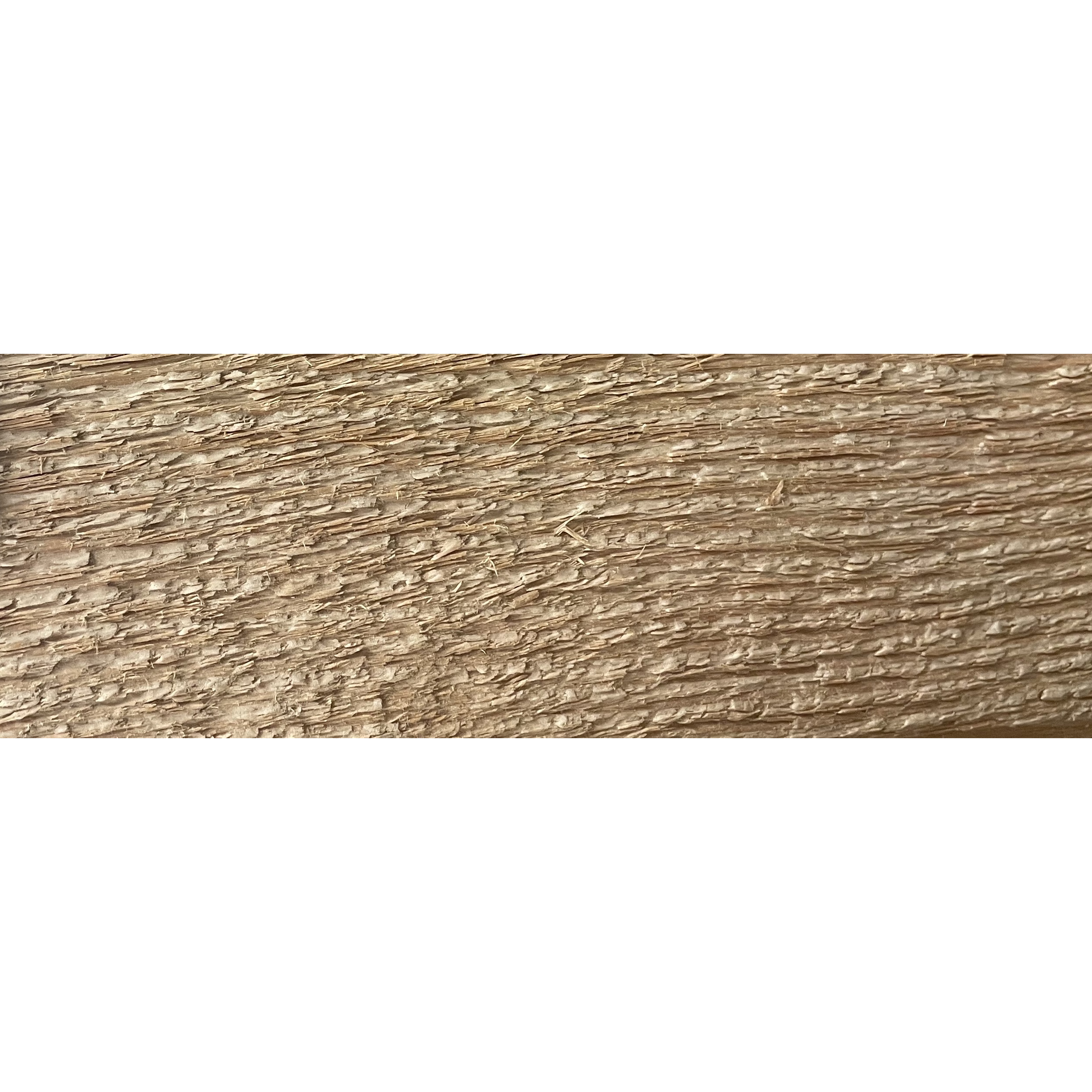 New Douglas Fir